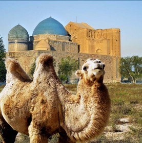 Transit tour ( 5 days/4 nights)